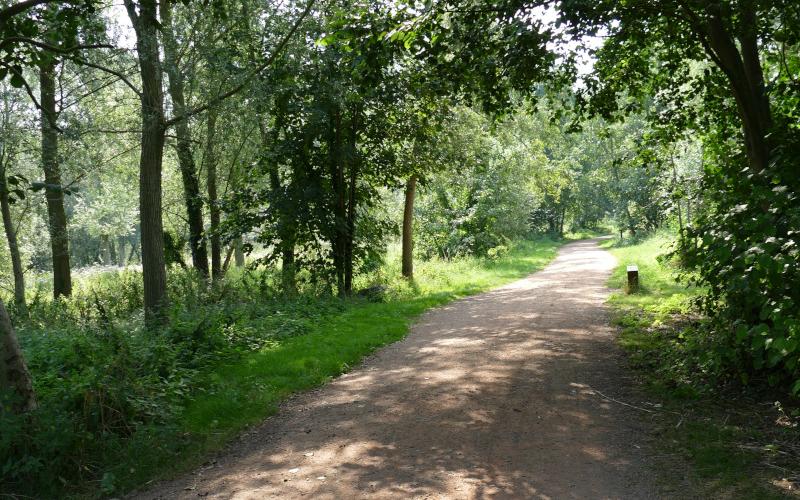 Section of Shared path in Great Cornard.